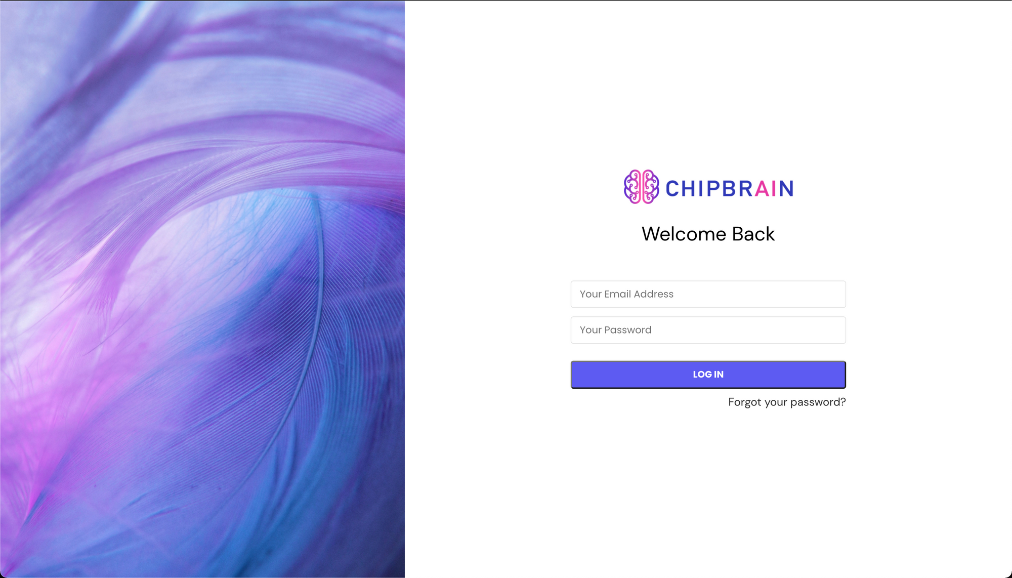 ChipBrain Login